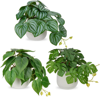 3er-Set Kunstpflanze Hängend Deko Pflanzen im Keramiktopf Mini Kunstpflanze Monstera und Philodendro