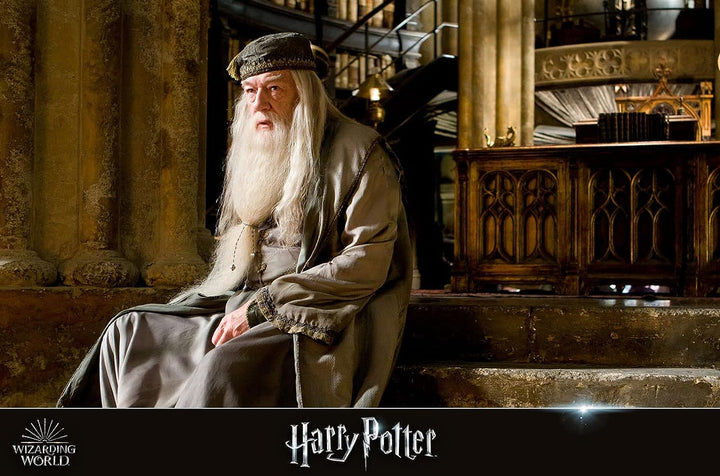 Wizarding World 10-Film Collection [Blu-ray], Blu-ray