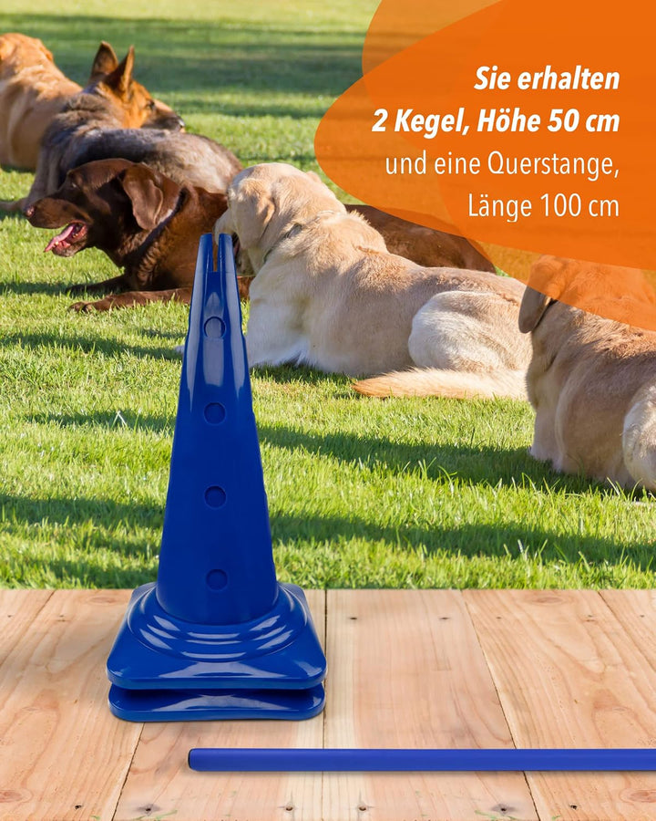 Kombi Kegel-Hürde – Steckhürde für Agility Training – Sprung- &amp; Slalom-Hütchen für Hund, Sport, Pfer