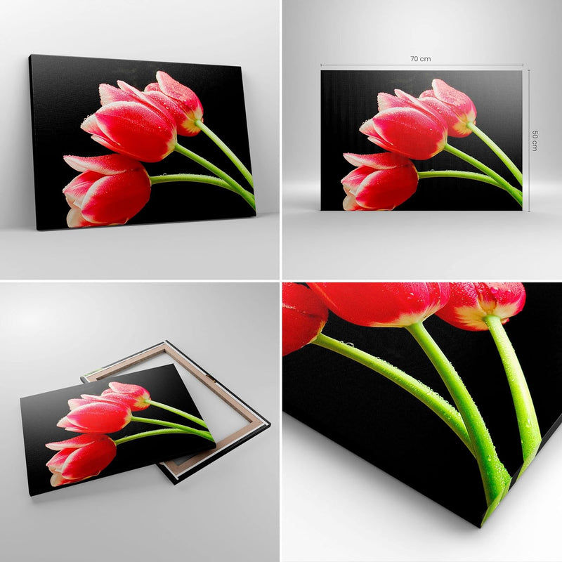 Bilder auf Leinwand Tulpe garten blume blumenstrauss Leinwandbild 70x50cm Wandbilder Dekoration Wohn