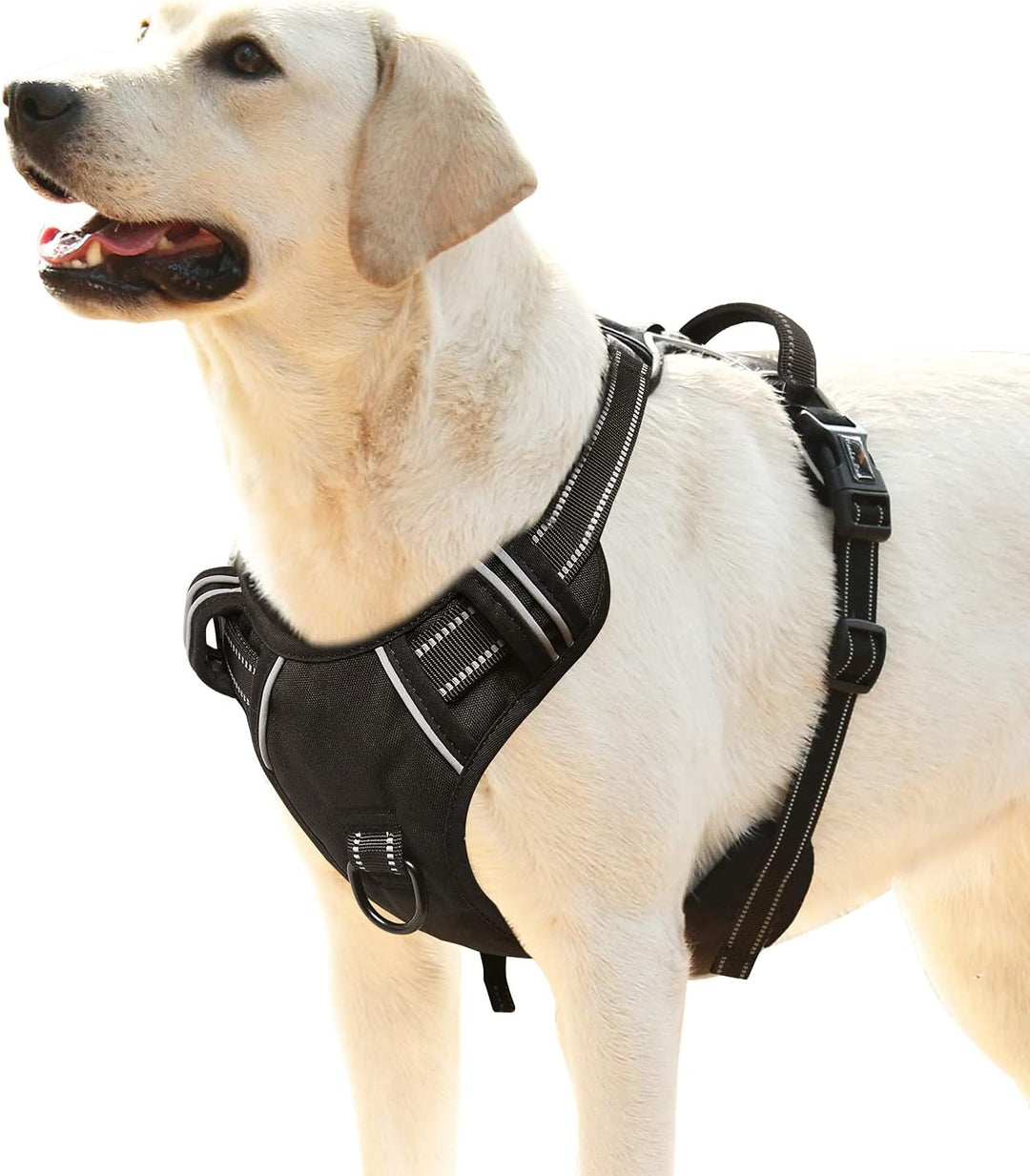 HEELE Hundegeschirr, No-Pull Hundegeschirr, Brustgeschirr für Mittelgrosse Hunde, Weich Atmungsaktiv
