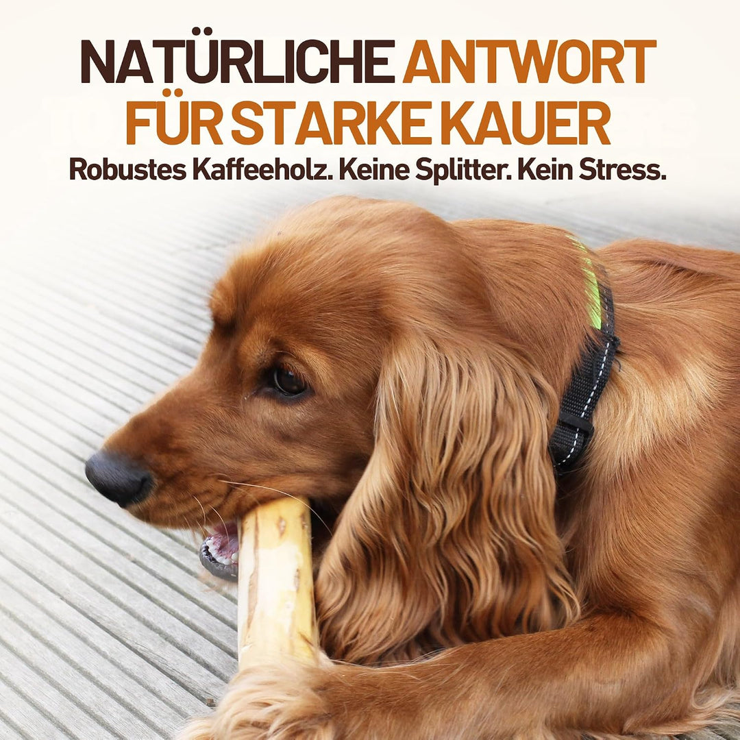 Wildfang Hundekaustab aus Arabica-Kaffeeholz Gr. L 1 stück (1er Pack), 1 stück (1er Pack)