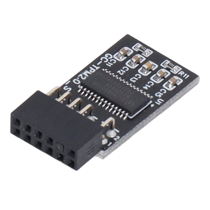 TPM 2.0 Modul LPC SPI 12 Pin Remote Card Encryption Security Board, Zubehör Kompatibel mit Plattform