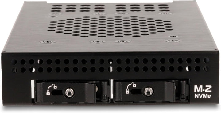 DeLOCK Einbaurahmen 3.5″ Wechselrahmen für 2 x M.2 NVMe SSD