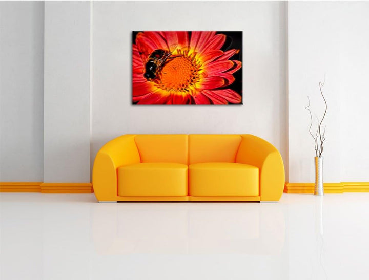 winzige Biene auf Margarete schwarz/weiss Deluxe Format: 100x70 cm auf Leinwand, XXL riesige Bilder