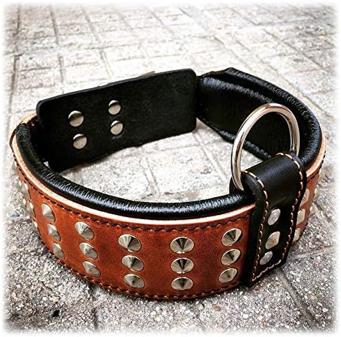 Bestia Star Hundehalsband mit Nieten und Innenpolsterung 6,5 cm Breit XXL - 65 bis 75 cm Halsumfang