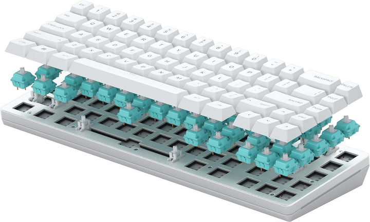 Glorious Gaming GMMK 2 Compact 65% Barebones (Frame Only) – Mechanisches Gaming-Tastaturgrundgerüst,