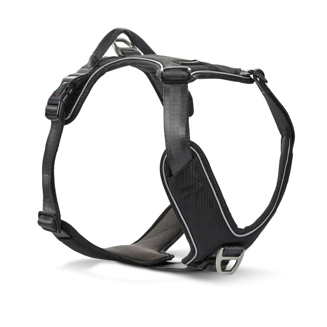 Wolters Geschirr Active Pro Comfort, Grösse:45-52.5 cm, Farbe:schwarz/anthrazit 45 - 52.5 cm schwarz