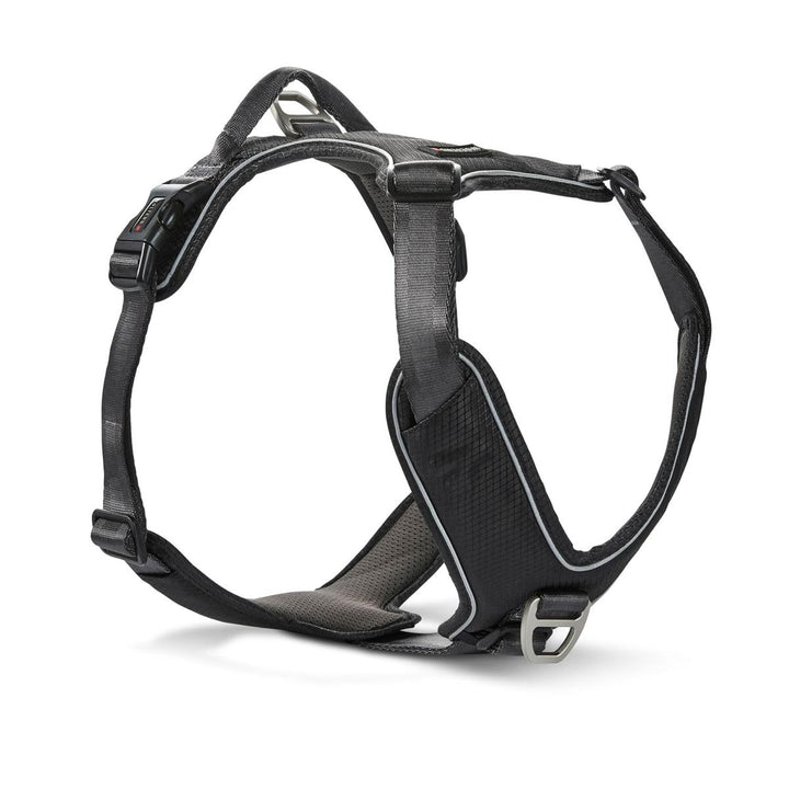 Wolters Geschirr Active Pro Comfort, Grösse:45-52.5 cm, Farbe:schwarz/anthrazit 45 - 52.5 cm schwarz