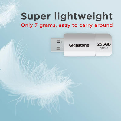 Gigastone Z60 256GB 2-Pack USB 3.2 Gen1 Flash Drive, R/W 120/80MB/s Ultra High Speed Pen Drive, Capl