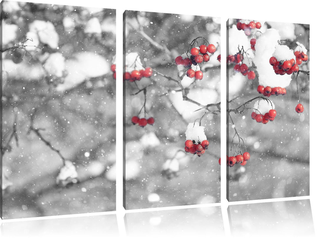 Pixxprint Vogelbeeren mit Schnee bedeckt Schwarz/Weiss 3-Teiler Leinwandbild 120x80 Bild auf Leinwan