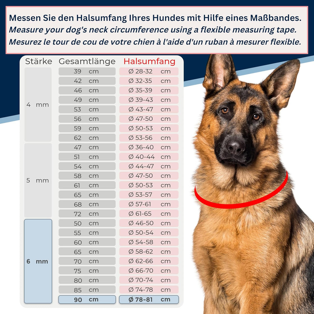 rostfreie Kombikette für Hunde - das ORIGINAL mit Zugstop - Edelstahl Hundekette Kettenhalsband lang