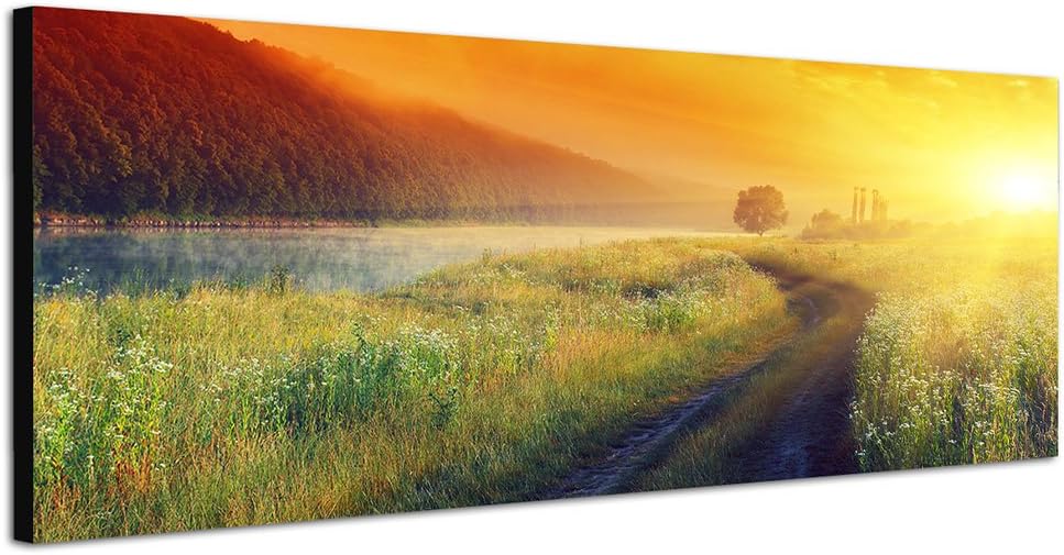 Paul Sinus Art Panoramabild auf Leinwand und Keilrahmen 150x50cm Landschaft Wiese Wald Morgensonne W