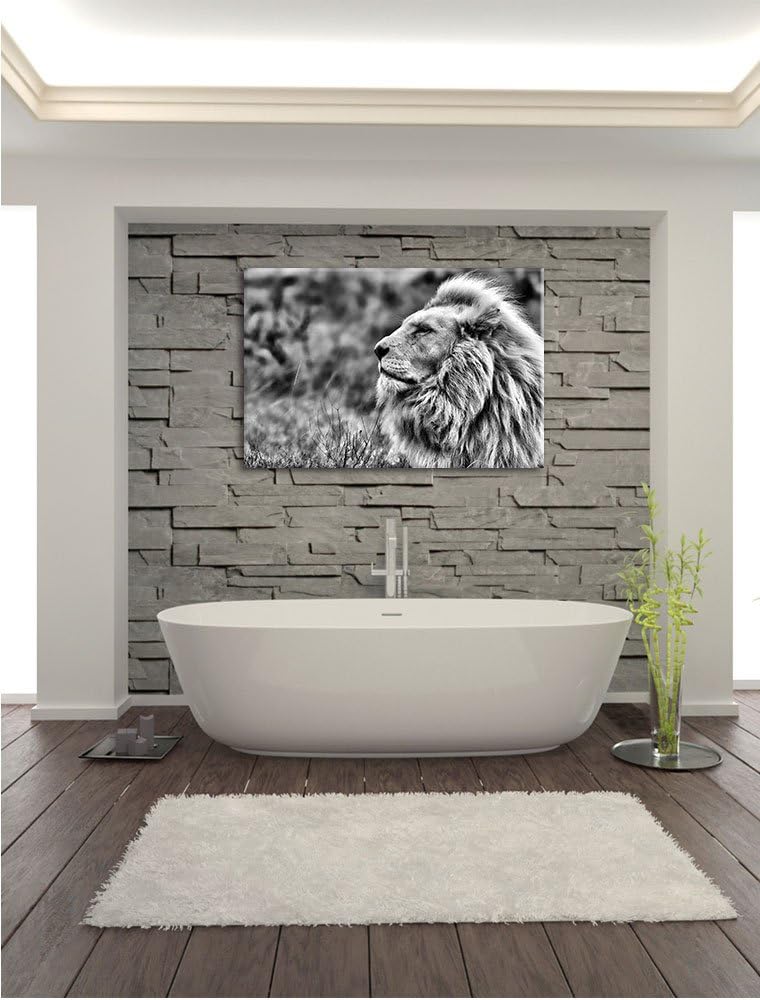 Pixxprint Weisser Löwe im Gebirge / 100x70cm Leinwandbild bespannt auf Holzrahmen/Wandbild Kunstdruc