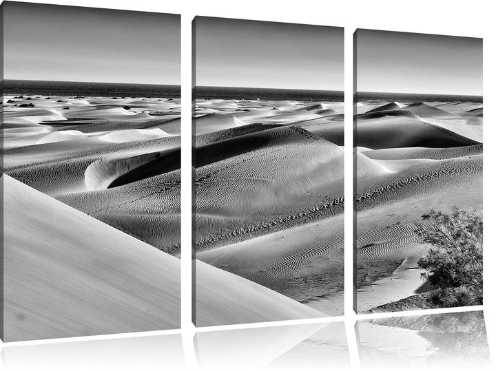 Pixxprint Monocrome, Wüste am Meer 3-Teiler Leinwandbild 120x80 Bild auf Leinwand