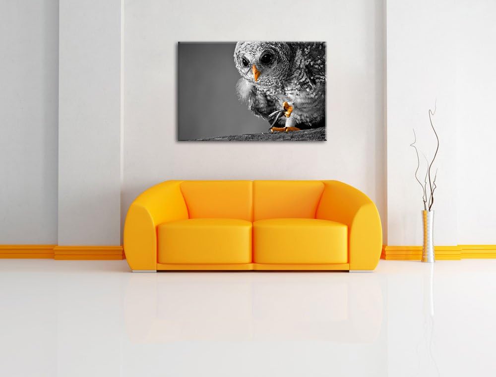 Eule mit Grille in ihren Krallen schwarz/weiss Format: 100x70 auf Leinwand, XXL riesige Bilder ferti