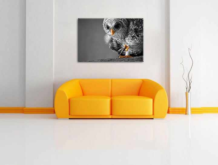 Eule mit Grille in ihren Krallen schwarz/weiss Format: 100x70 auf Leinwand, XXL riesige Bilder ferti