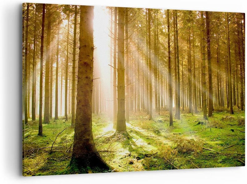 Bilder auf Leinwand 100x70cm Leinwandbild mit Rahmen Bäume Sonne Natur Gross Wanddeko Bild Schlafzim