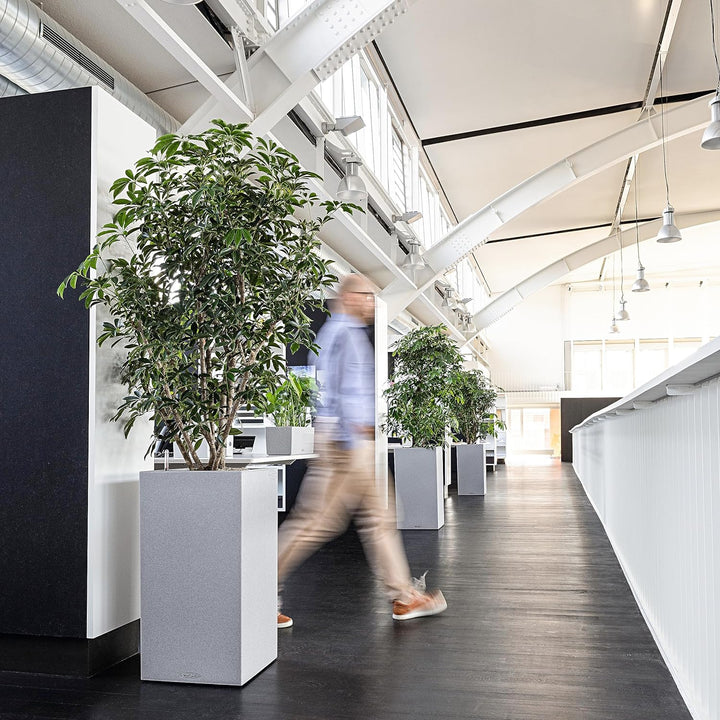 Lechuza Komplett-Set für Garten, grau, 40 x 40 x 76 cm, 13620 40x40x76 cm Steingrau, 40x40x76 cm Ste