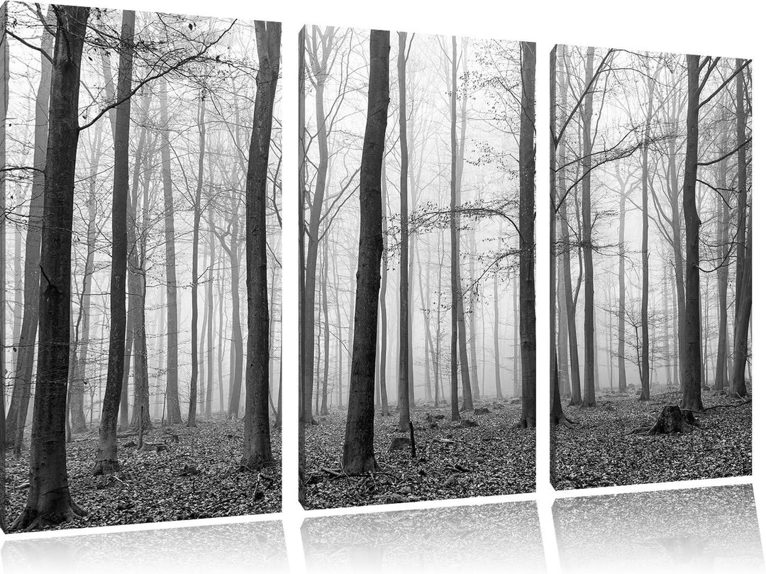Pixxprint Abstrakter Wald Kunst B&W als Leinwandbild | Grösse: 3 Teilig (120x80) | Wandbild| Kunstdr