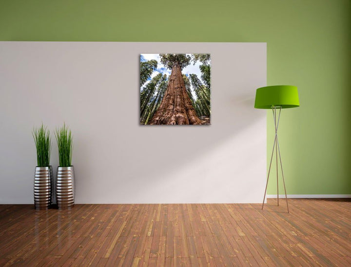 Pixxprint Baum im Regenwald/Format: 70x70cm / Leinwandbild fertig bespannt Wandbild Kunstdruck, 70x7