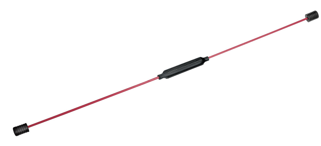 BODYCOACH Swingstick inklusive DVD mit Trainingsanleitung & Übungen Fitness Schwungstab aus flexible