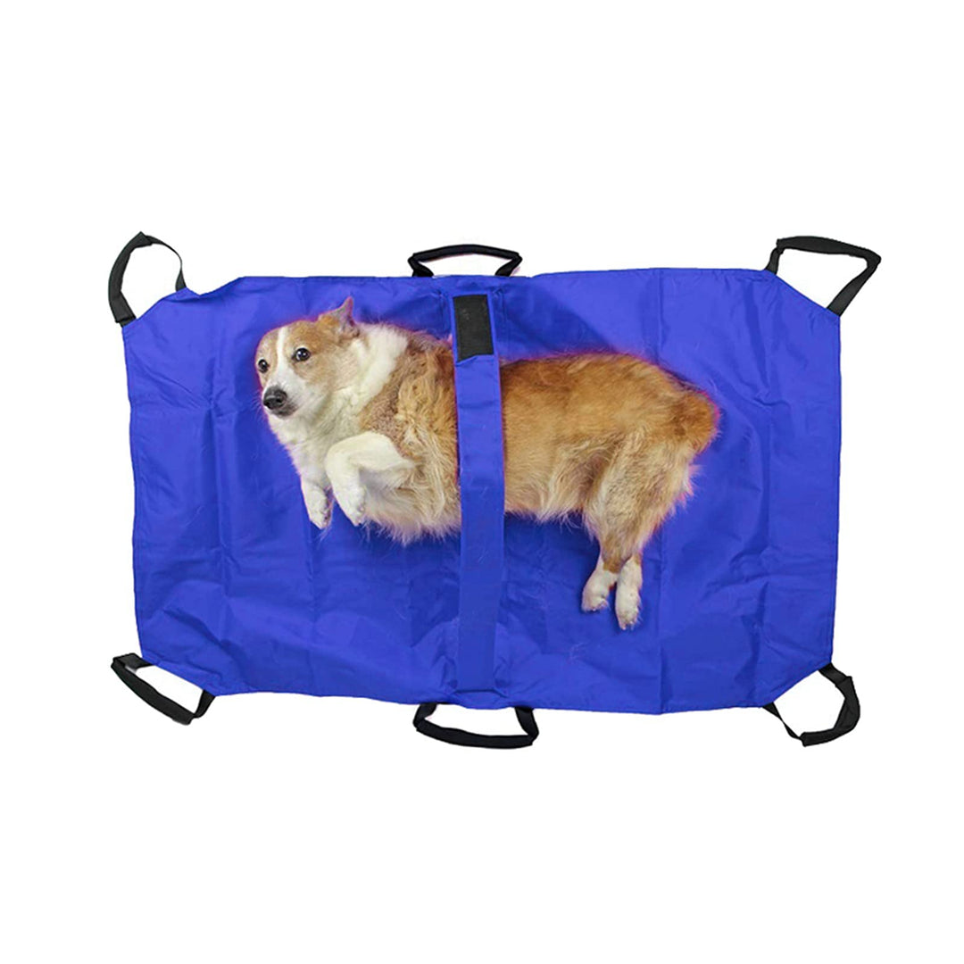 Haustiertrage Trage Faltbare Transport Notfalltrage mit 6 Griffe Nylon fest Anti-Biss-Haustiertrage,