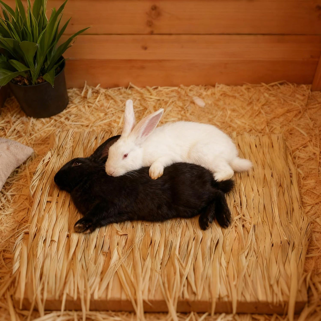 Kaninchen Matte Strohmatten, 8 Stück Kaninchen Bett Spielzeug Kühlmatte Natürlich Handgewebte Strohm