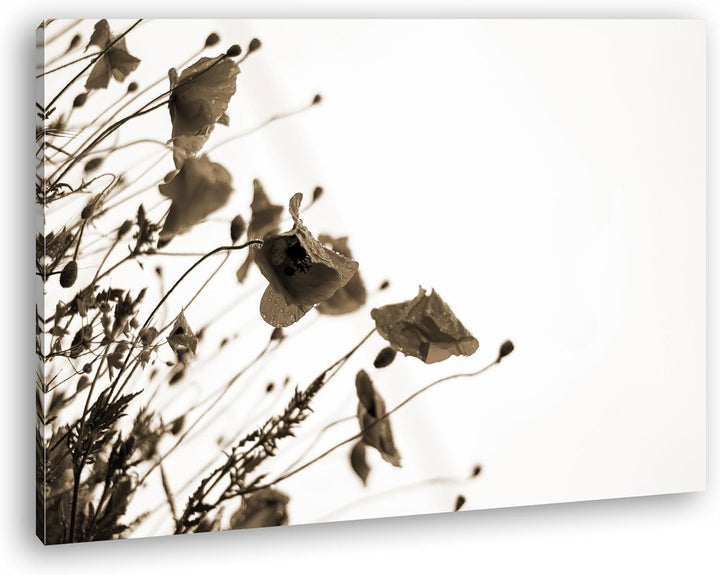deyoli Roter Mohn Format: 80x60 Effekt: Sepia als Leinwand, Motiv fertig gerahmt auf Echtholzrahmen,