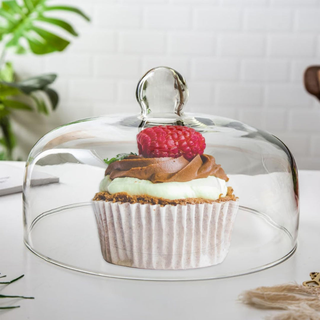 Kuchen Glasglocke Glas Käseglocke Kuchenglocke Tortenplatte Haube Glaskuppel Torten Glashaube Käsepl