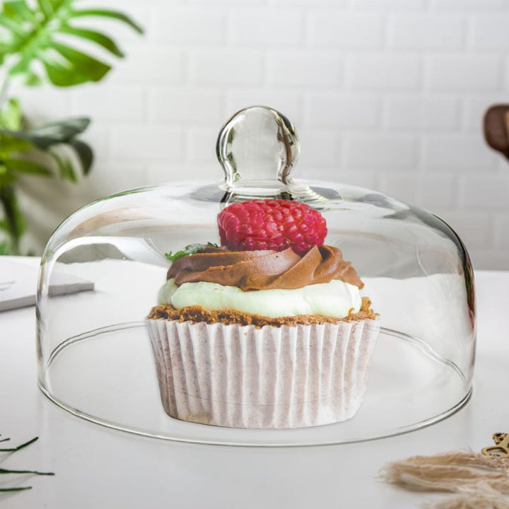 Kuchen Glasglocke Glas Käseglocke Kuchenglocke Tortenplatte Haube Glaskuppel Torten Glashaube Käsepl