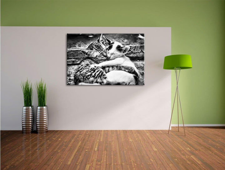 Pixxprint Liebende Kätzchen als Leinwandbild/Grösse: 100x70 cm/Wandbild/Kunstdruck/fertig bespannt,