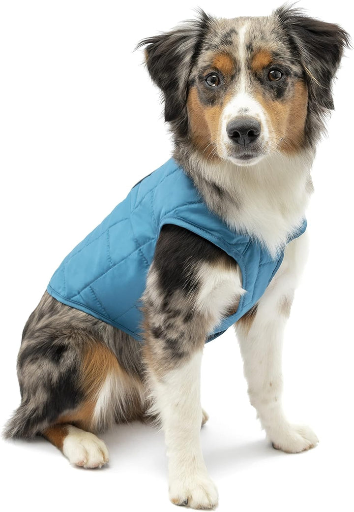 Kurgo Loft Hundejacke, Mit Hundegeschirr kombinierbar, Wasserdicht und reflektierend, Ideal für den
