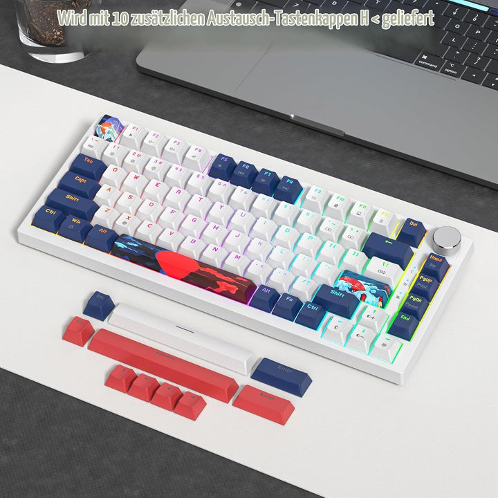 SOLIDEE Verkabelte 75% Mechanische Gaming-Tastatur,hot-swap-fähige Mechanische Tastatur mit Gasket S