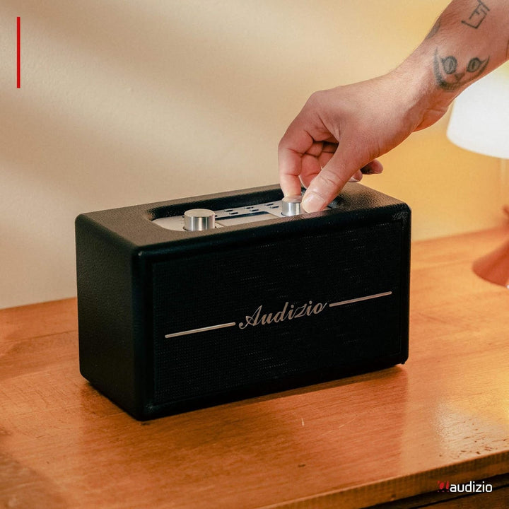Audizio Tune60, DAB Radio mit Bluetooth Lautsprecher, Fernbedienung, FM, 40 Watt, Batterie- Netzbetr