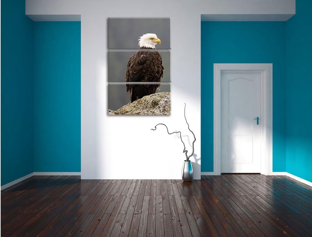 Pixxprint wachsamer Adler auf Fels als Leinwandbild/Grösse: 3 Teilig (120x80) cm/Wandbild/Kunstdruck