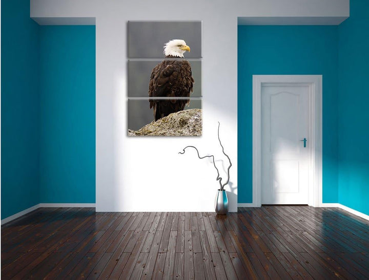 Pixxprint wachsamer Adler auf Fels als Leinwandbild/Grösse: 3 Teilig (120x80) cm/Wandbild/Kunstdruck