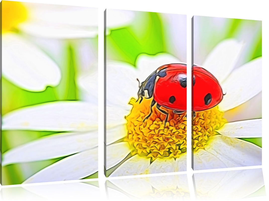 Marienkäfer auf Gänseblümchen Spezial 3-Teiler Leinwandbild 120x80 Bild auf Leinwand, XXL riesige Bi