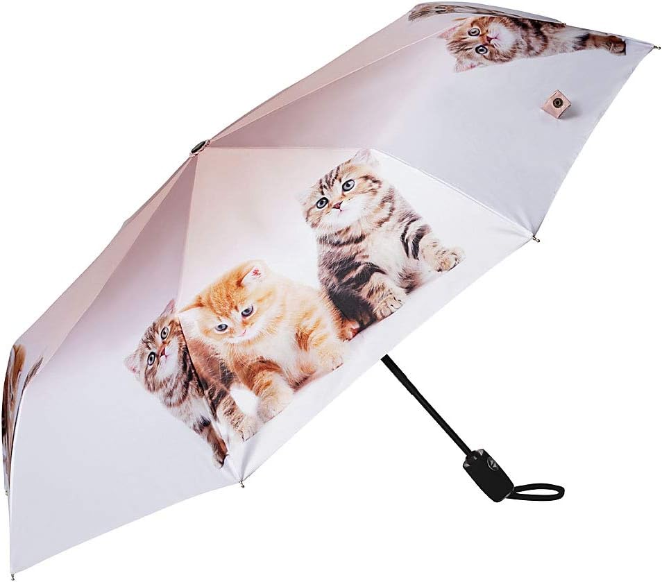 VON LILIENFELD Regenschirm Taschenschirm Katzen Trio Windfest Auf-Zu-Automatik Kätzchen Kinderschirm
