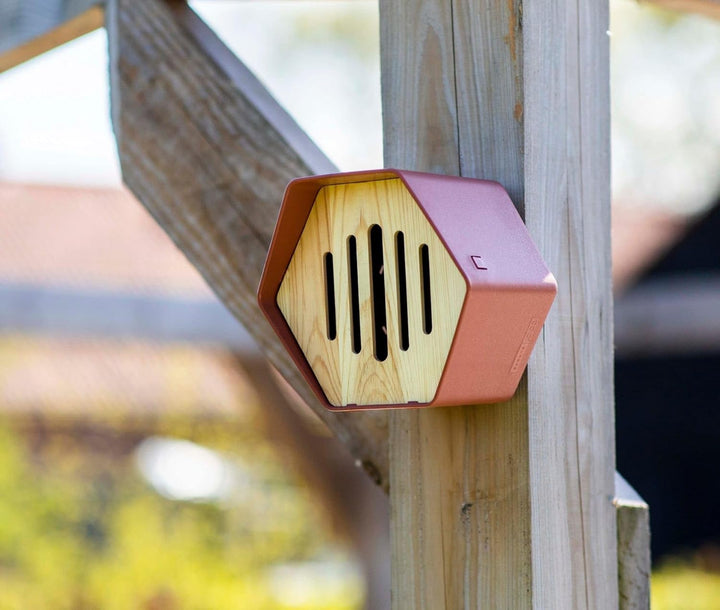 Capi Europe - Schmetterlingshaus Hive - 19x23x20 - Braun - CAPI Biodiversity Hive - AHBUB001 Braun H