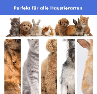 Neakasa P1 Pro Hundeschermaschine mit Staubsauger, leise Schermaschine Hund Katze, Profi Haustierpfl