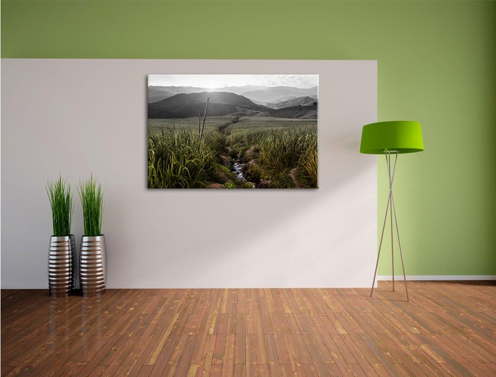Pixxprint Reisfeld Plantage in Asien als Leinwandbild/Grösse: 100x70 cm/Wandbild/Kunstdruck/fertig b