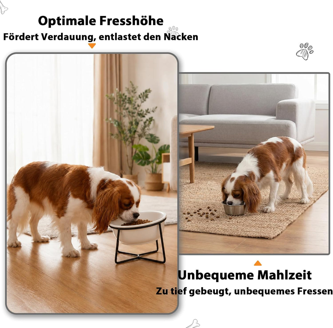 Hundenapf Keramik - Futternapf Hund Katzennapf - Futterstation Hund Katzen Erhöht mit Ständer - Fres