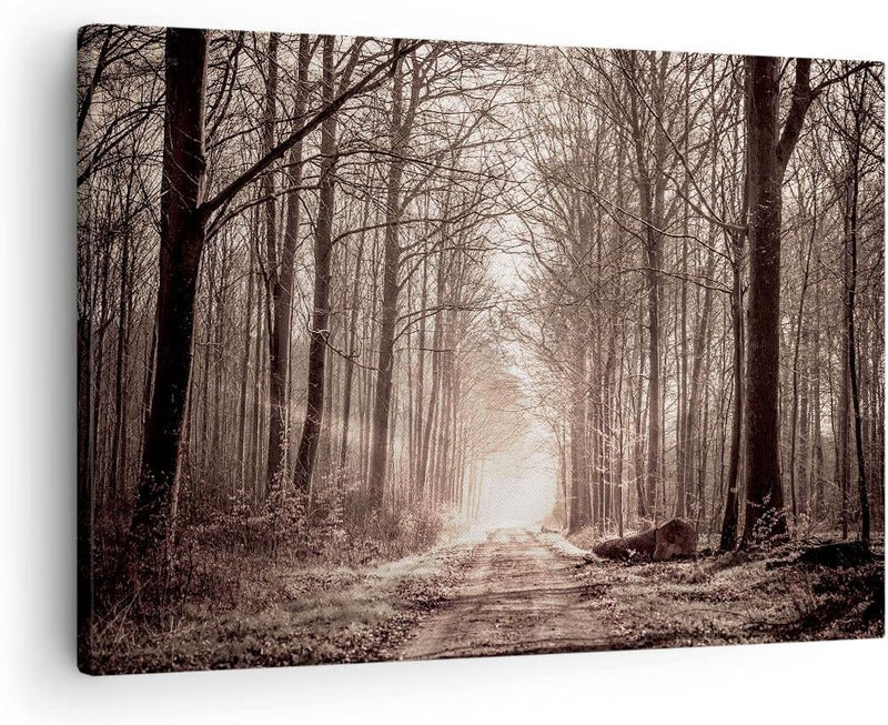 Bilder auf Leinwand Wald Strasse Baum Leinwandbild mit Rahmen 70x50cm Wandbilder Dekoration Wohnzimm