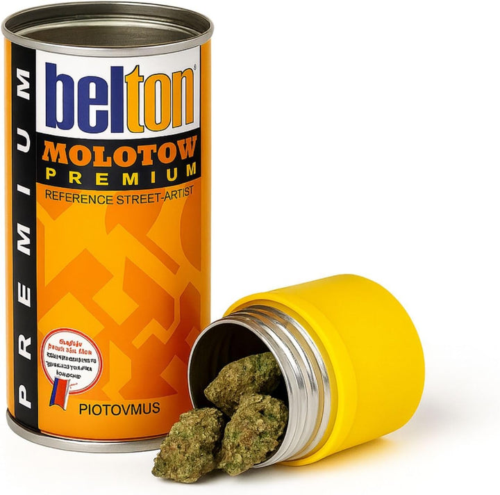 Weedness Dosen-Safe Geldversteck Spraydose - Dosentresor Versteckdose Geheimversteck Mini Tresor Str