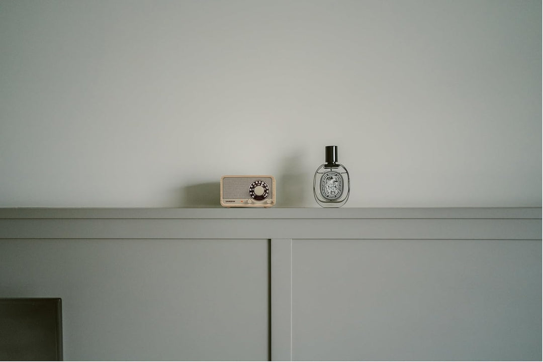 SANGEAN WR-8 – Tragbares Vintage Radio mit Bluetooth Lautsprecher, FM-Empfang, integriertem Akku, Ec