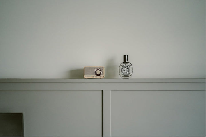 SANGEAN WR-8 – Tragbares Vintage Radio mit Bluetooth Lautsprecher, FM-Empfang, integriertem Akku, Ec