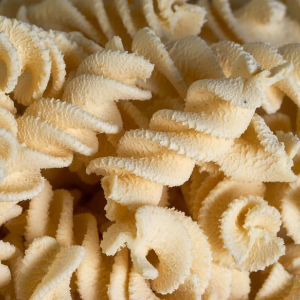 CLASSE ITALY - Matrize aus Bronze "Fusilli" für Pastaio - Made in Italy