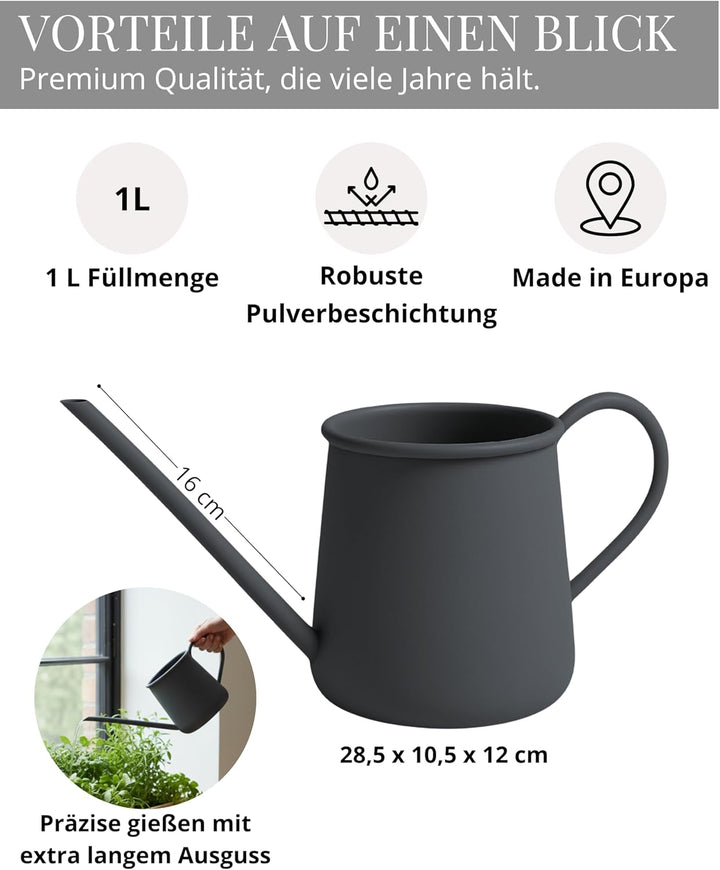 Livlig53 Giesskanne 1L, Giesskanne Zimmerpflanzen, Blumengiesskanne mit extra langem Ausguss, Giessk