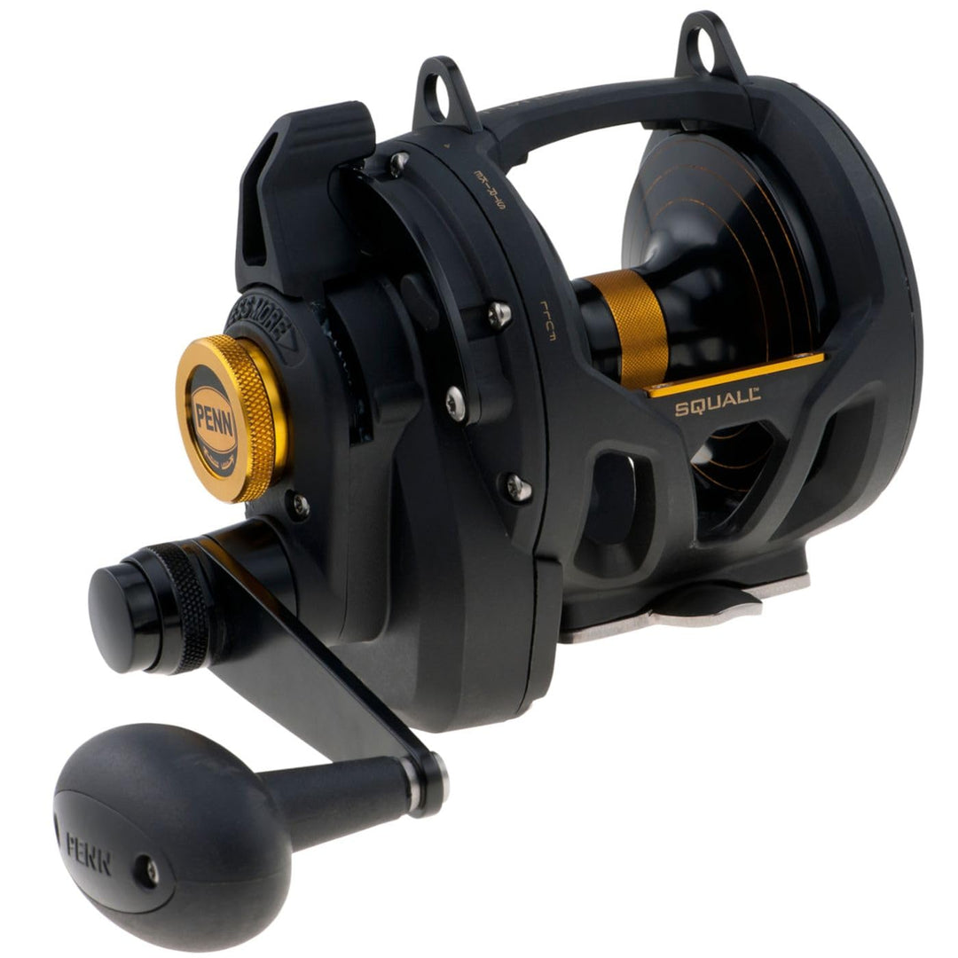 Penn Squall Lever Drag 2-Gang-Rollen SQL16VS, SQL16VS